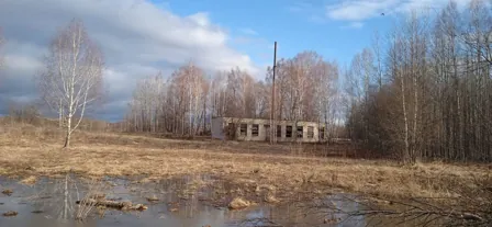 Продажа, здание 111,9 кв.м, с. Дорофеево, КН 52:07:0900007:637