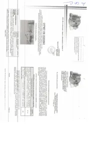 Продажа, земельный участок 754 кв.м, с. Сокол Сахалинская область, КН 65:10:0000036:158