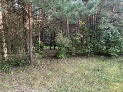 Продажа, земельный участок 1 348 кв.м, ИЖС, КН 50:36:0020511:1084