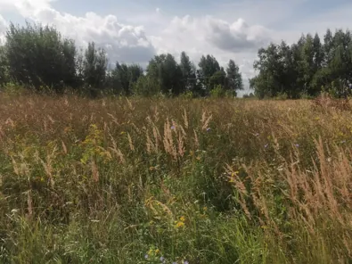 Продажа, земельный участок 625 кв.м, ЛПХ, д. Шапкино Российская Федерация, КН 50:34:0050441:2122