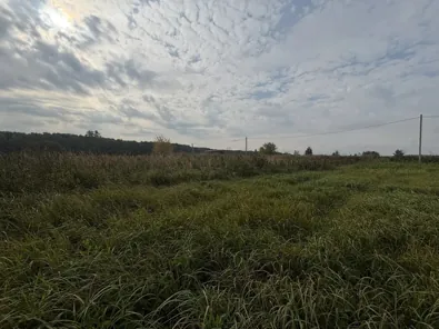 Аренда, земельный участок 1 500 кв.м, ИЖС, с. Невское, КН 50:29:0060238:594