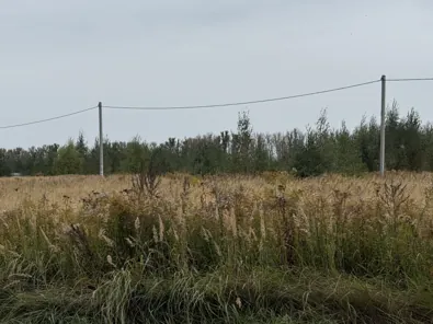 Аренда, земельный участок 1 199 кв.м, ИЖС, д. Тарасково, КН 50:37:0010106:728