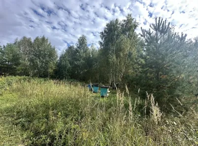 Продажа, земельный участок 639 кв.м, ЛПХ, с. Нижнее Хорошово, КН 50:34:0010510:2446