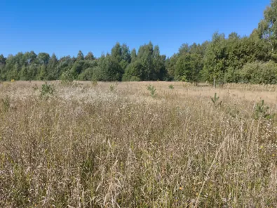 Продажа, земельный участок 1 400 кв.м, ЛПХ, д. Кузнецово, КН 50:25:0030102:416