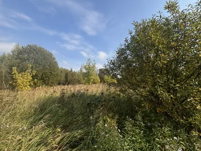 Аренда, земельный участок 514 кв.м, ИЖС, п. Сетовка, КН 50:29:0060102:694