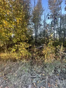 Продажа, земельный участок 1 030 кв.м, ИЖС, г. Чехов Российская Федерация, КН 50:31:0060803:624