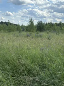 Аренда, земельный участок 840 кв.м, Жилая застройка, с. Мостцы