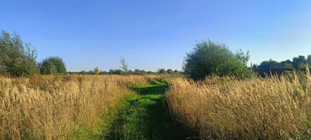 Аренда, земельный участок 1 647 кв.м, ЛПХ, с. Гатиха