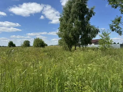 Аренда, земельный участок 1 398 кв.м, ЛПХ, д. Петелино