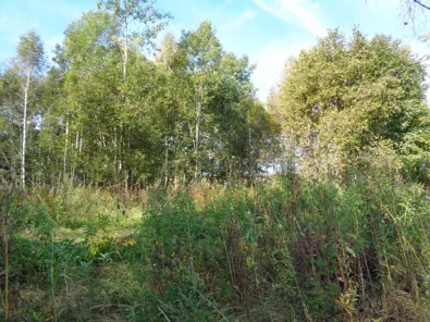 Продажа, земельный участок 930 кв.м, ИЖС, с. Микулино