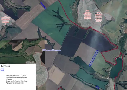 Аренда, земельный участок 118 000 кв.м, с/х, Яковлевский р-н, КН 31:10:0804001:509
