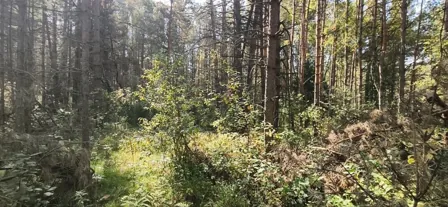 Аренда, земельный участок 1 178 кв.м, ЛПХ, д. Великодворье