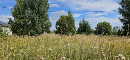 Продажа, земельный участок 1 166 кв.м, ИЖС, г. Луховицы, КН 50:35:0050123:801