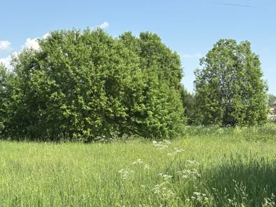 Продажа, земельный участок 949 кв.м, ИЖС, г. Луховицы, КН 50:35:0050123:802