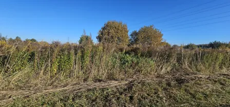 Аренда, земельный участок 1 050 кв.м, ИЖС, г. Луховицы, КН 50:35:0040201:1528
