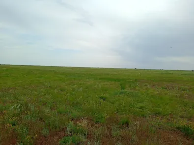 Продажа, земельный участок 850 519 кв.м, с/х, с. Варфоломеевка, КН 64:01:070303:429