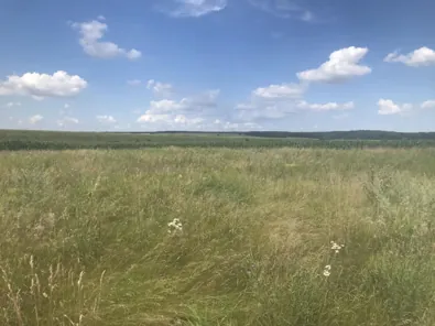 Продажа, земельный участок 1 506 кв.м, ИЖС, д. Маркино