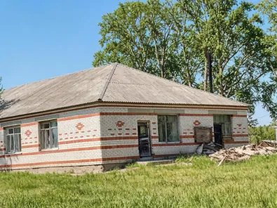 Продажа, здание 541,8 кв.м с земельным участком, с. Боровское, КН 45:02:040106:380