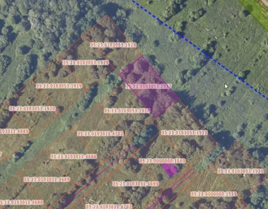 Продажа, земельный участок 1 188 кв.м, ЛПХ, д. Нифантово, КН 35:23:0103053:1927