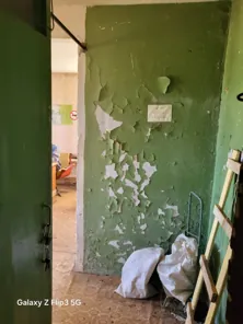 Аренда, нежилое помещение 29,7 кв.м, Богородский р-н, КН 52:24:0120203:2218