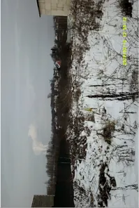 Аренда, земельный участок 1 144 кв.м, ЛПХ, КН 52:24:0040202:6581