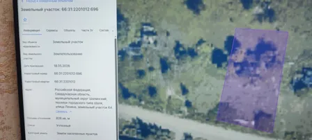 Аренда, земельный участок 826 кв.м, ИЖС, пгт Шаля, КН 66:31:2201012:696