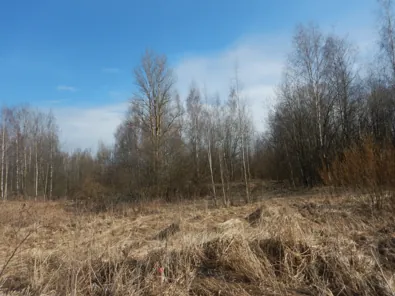 Продажа, земельный участок 1 201 кв.м, ИЖС, КН 78:37:0017501:5154