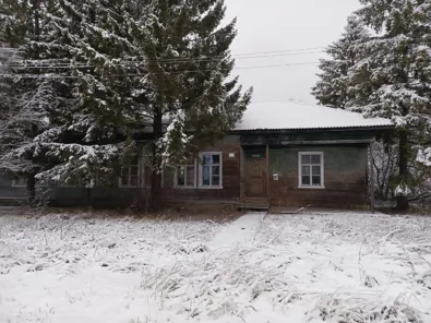 Продажа, здание 288,1 кв.м с земельным участком, д. Абакумово, КН 29:05:070401:343