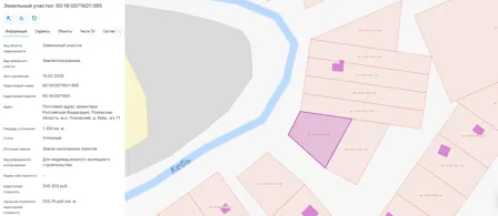 Аренда, земельный участок 1 350 кв.м, ИЖС, д. Кебь, КН 60:18:0071601:385