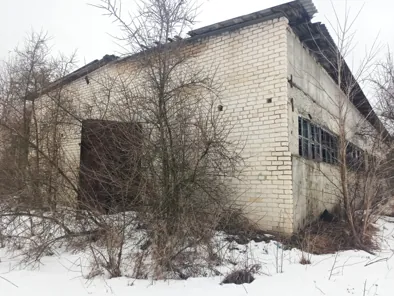 Продажа, здание 300,1 кв.м с земельным участком, п. Климовское, КН 32:12:0010304:212