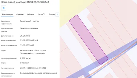 Аренда, земельный участок 8 237 кв.м, с/х, с. Новоречье, КН 31:08:0505002:144