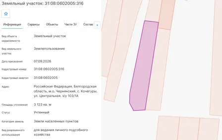 Аренда, земельный участок 3 123 кв.м, ЛПХ, с. Кочегуры, КН 31:08:0602005:316