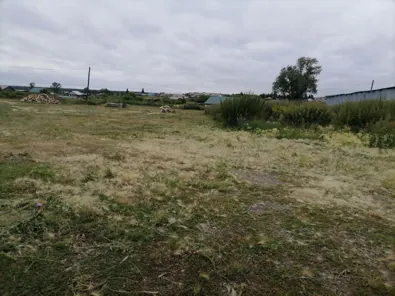 Аренда, земельный участок 1 600 кв.м, торговля, с. Самохвалово, КН 45:21:010407:191