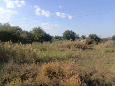 Аренда, земельный участок 1 200 кв.м, ЛПХ, г. Ленинск, КН 34:15:080405:649