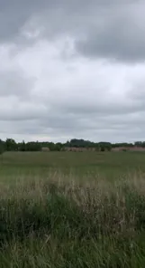 Аренда, земельный участок 5 000 кв.м, ЛПХ, КН 34:16:120002:677