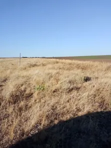 Аренда, земельный участок 167 500 кв.м, с/х, КН 34:32:010006:1320
