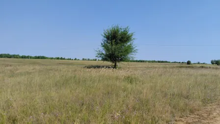 Продажа, земельный участок 1 048 кв.м, ИЖС, п. Отрадное, КН 34:16:080006:869