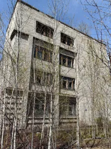 Продажа, здание 1 130 кв.м с земельным участком, п. Новоургальское, КН 27:05:0101007:1