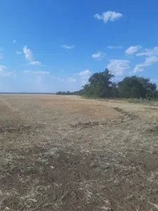 Продажа, земельный участок 50 690 кв.м, с/х, Морозовский р-н, КН 61:24:0600001:861