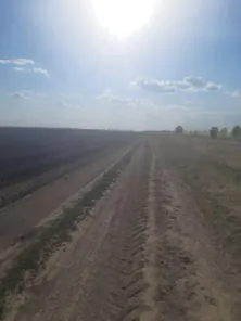 Продажа, земельный участок 25 099 кв.м, с/х, Морозовский р-н, КН 61:24:0600001:863