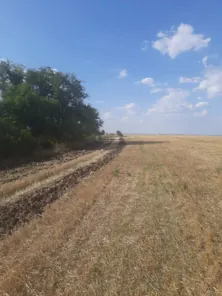 Продажа, земельный участок 29 211 кв.м, с/х, Морозовский р-н, КН 61:24:0600001:864