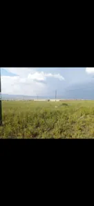 Продажа, земельный участок 52 000 кв.м, с/х, Иволгинский р-н, КН 03:08:410106:467