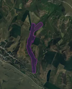 Аренда, земельный участок 296 872 кв.м, с/х, п. Кичмалка, КН 07:02:2400000:641
