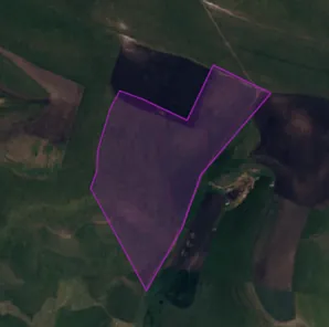Аренда, земельный участок 80 453 кв.м, с/х, п. Кичмалка, КН 07:02:2400000:743
