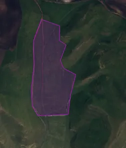 Аренда, земельный участок 50 248 кв.м, с/х, п. Кичмалка, КН 07:02:2400000:744