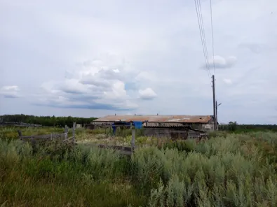 Продажа, здание 754,8 кв.м с земельным участком, с. Петухово, КН 45:14:011701:270