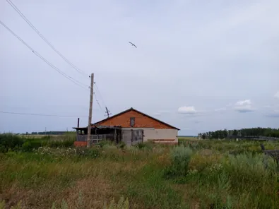 Продажа, здание 1 006,2 кв.м с земельным участком, с. Петухово, КН 45:14:011701:271