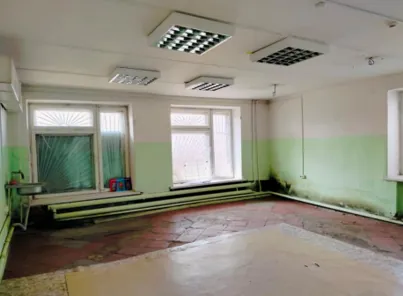 Аренда, нежилое помещение 50,1 кв.м, с. Парзи, КН 18:05:083002:185