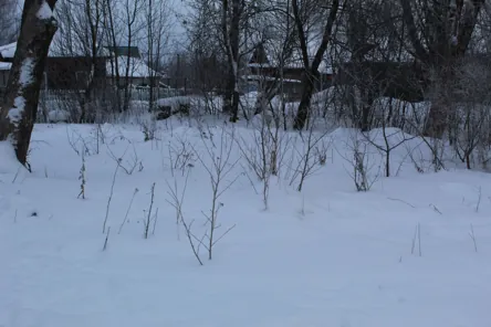 Аренда, земельный участок 48 кв.м, гаражи, п. Наволокское, КН 37:07:010330:226