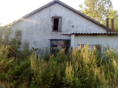 Продажа, здание 162,5 кв.м с земельным участком, п. Романовский сельсовет, КН 22:38:040201:1103